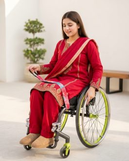 wheelchair belt